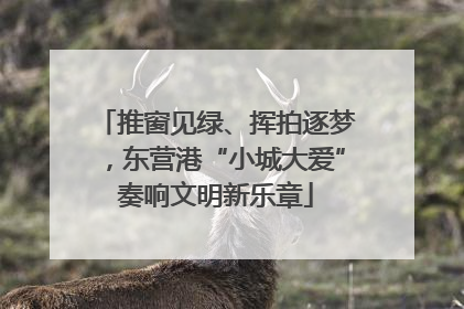推窗见绿、挥拍逐梦，东营港“小城大爱”奏响文明新乐章