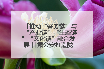 推动“警务链”与“产业链”“生态链”“文化链”融合发展 甘肃公安打造陇原旅游警务品牌