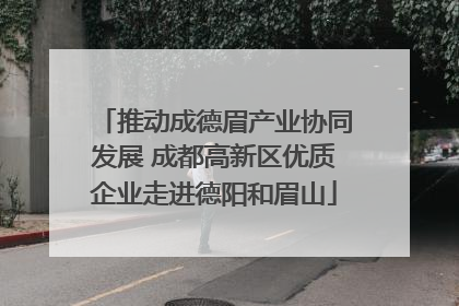 推动成德眉产业协同发展 成都高新区优质企业走进德阳和眉山