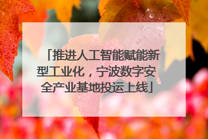 推进人工智能赋能新型工业化，宁波数字安全产业基地投运上线