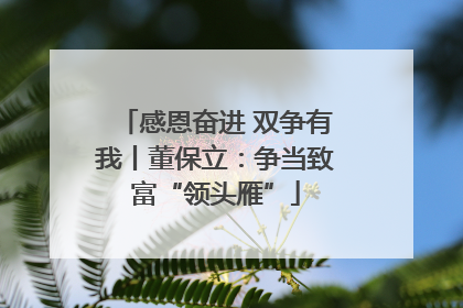 感恩奋进 双争有我丨董保立：争当致富“领头雁”