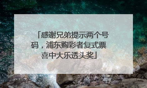 感谢兄弟提示两个号码，浦东购彩者复式票喜中大乐透头奖
