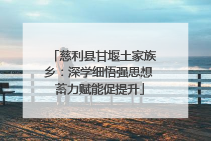 慈利县甘堰土家族乡：深学细悟强思想 蓄力赋能促提升