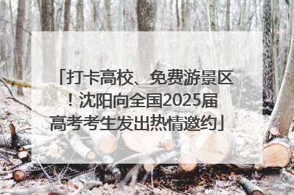 打卡高校、免费游景区！沈阳向全国2025届高考考生发出热情邀约