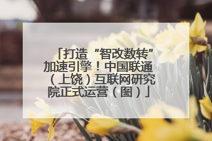 打造“智改数转”加速引擎！中国联通（上饶）互联网研究院正式运营（图）
