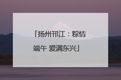 扬州邗江：粽情端午 爱满东兴