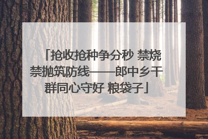 抢收抢种争分秒 禁烧禁抛筑防线——郎中乡干群同心守好 粮袋子