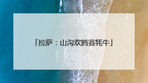 拉萨：山沟欢腾赛牦牛