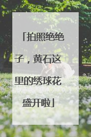 拍照绝绝子，黄石这里的绣球花盛开啦