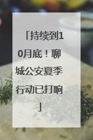 持续到10月底！聊城公安夏季行动已打响