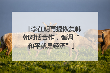 李在明再提恢复韩朝对话合作，强调“和平就是经济”