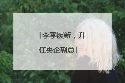李季履新，升任央企副总