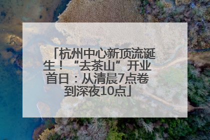 杭州中心新顶流诞生！“去茶山”开业首日：从清晨7点卷到深夜10点