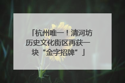 杭州唯一！清河坊历史文化街区再获一块“金字招牌”