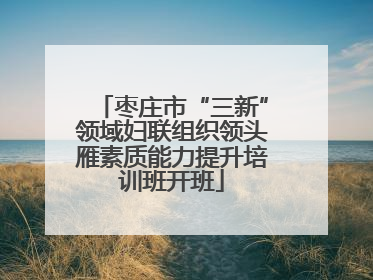 枣庄市“三新”领域妇联组织领头雁素质能力提升培训班开班