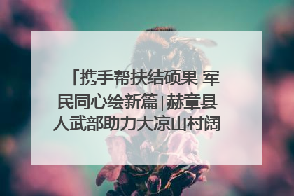 携手帮扶结硕果 军民同心绘新篇∣赫章县人武部助力大凉山村阔步乡村振兴路