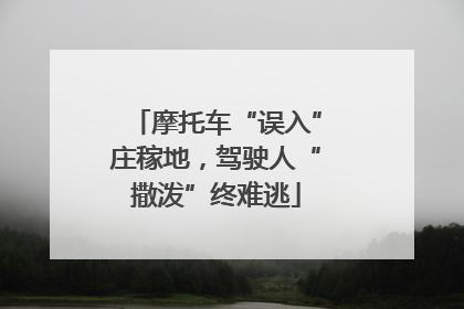 摩托车“误入”庄稼地，驾驶人“撒泼”终难逃