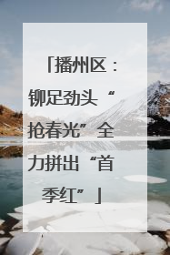 播州区：铆足劲头“抢春光”全力拼出“首季红”