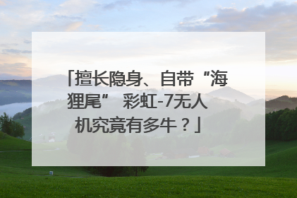 擅长隐身、自带“海狸尾” 彩虹-7无人机究竟有多牛？