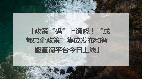 政策“码”上通晓！“成都惠企政策”集成发布和智能查询平台今日上线