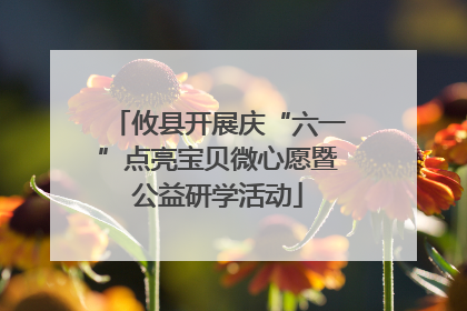 攸县开展庆“六一”点亮宝贝微心愿暨公益研学活动