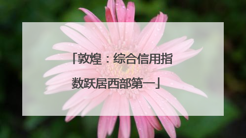 敦煌：综合信用指数跃居西部第一