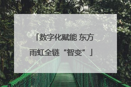 数字化赋能 东方雨虹全链“智变”