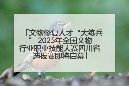 文物修复人才“大练兵” 2025年全国文物行业职业技能大赛四川省选拔赛即将启幕
