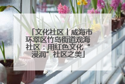 文化社区丨威海市环翠区竹岛街道观海社区：用红色文化“浸润”社区之美