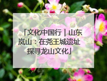 文化中国行｜山东岚山：在尧王城遗址探寻龙山文化