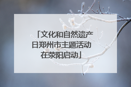 文化和自然遗产日郑州市主题活动在荥阳启动