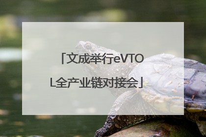 文成举行eVTOL全产业链对接会