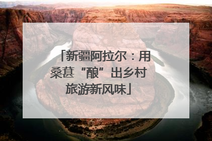 新疆阿拉尔：用桑葚“酿”出乡村旅游新风味