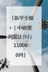新华全媒+｜中欧班列累计开行110000列