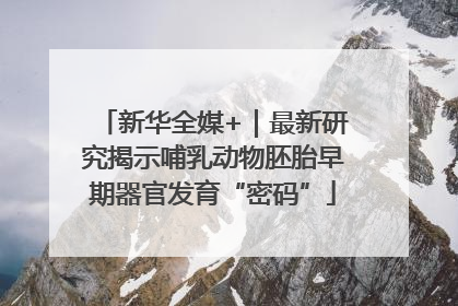 新华全媒+｜最新研究揭示哺乳动物胚胎早期器官发育“密码”