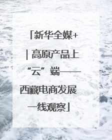 新华全媒+｜高原产品上“云”端——西藏电商发展一线观察