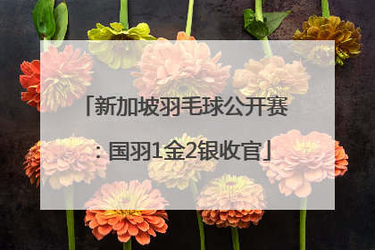 新加坡羽毛球公开赛：国羽1金2银收官