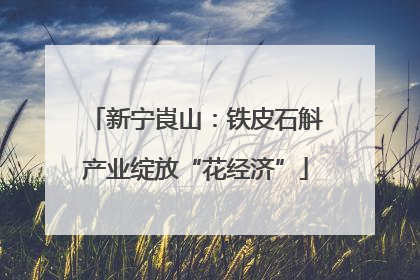 新宁崀山：铁皮石斛产业绽放“花经济”
