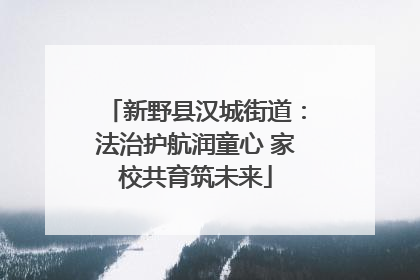 新野县汉城街道：法治护航润童心 家校共育筑未来