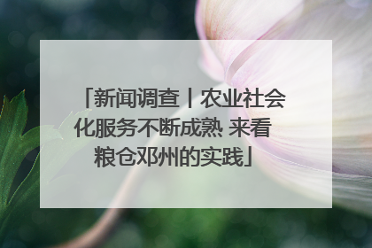 新闻调查丨农业社会化服务不断成熟 来看粮仓邓州的实践