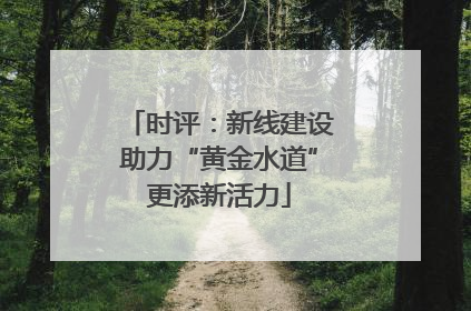 时评：新线建设助力“黄金水道”更添新活力