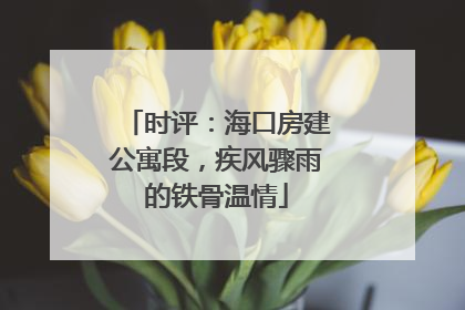 时评：海口房建公寓段，疾风骤雨的铁骨温情