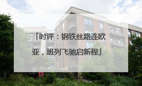 时评：钢铁丝路连欧亚，班列飞驰启新程