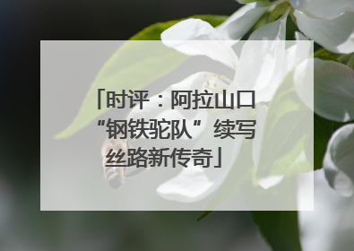 时评：阿拉山口“钢铁驼队”续写丝路新传奇