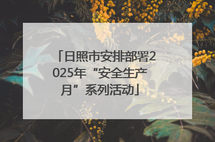 日照市安排部署2025年“安全生产月”系列活动