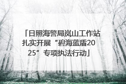 日照海警局岚山工作站扎实开展“碧海蓝盾2025”专项执法行动