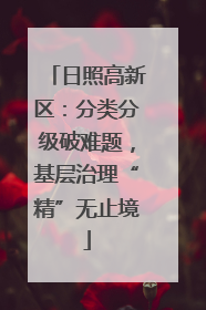 日照高新区：分类分级破难题，基层治理“精”无止境