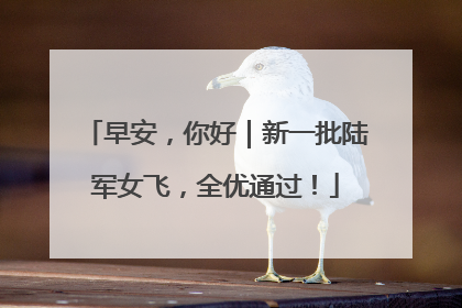 早安，你好｜新一批陆军女飞，全优通过！