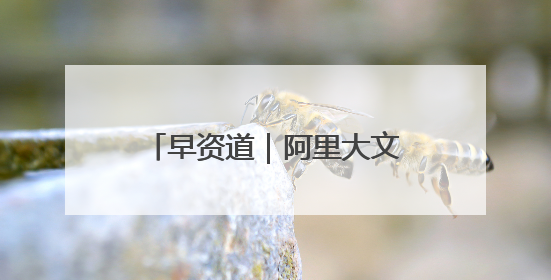 早资道｜阿里大文娱更名为“虎鲸文娱”；百度Q1总营收325亿元超预期