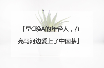 早C晚A的年轻人，在亮马河边爱上了中国茶
